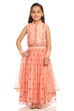 Peach Cotton And Viscose Lehenga Set image number 0