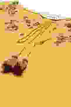 Yellow Solid Asymmetric Kurta Slim Pants Suit Set image number 1