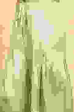 Sea Green Polyester Straight Solid Suit Set image number 2