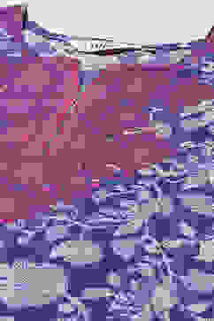 Indigo Cotton Straight Printed Kurta Ankle Length Suit Set image number 1