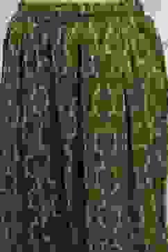 Olive Green Printed Straight Suit Set image number 2