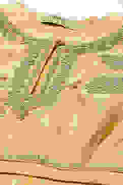 Rohit Bal Yellow Cotton Silk Anarkali Yarndyed Suit Set image number 1