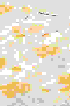 Ivory Cotton Straight Kurta Palazzo Suit Set image number 1