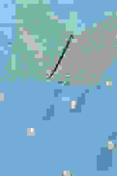 Powder Blue Polyester Straight Kurta Salwar Suit Set image number 1