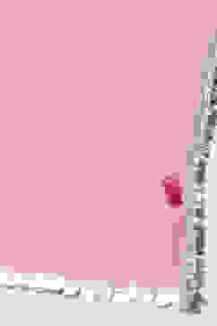 Off White Peplum Kurta With Sharara & Net Dupatta. image number 3