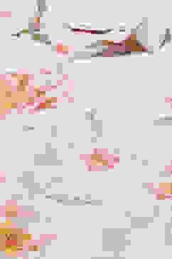 Off White Cotton Printed Shirt image number 1