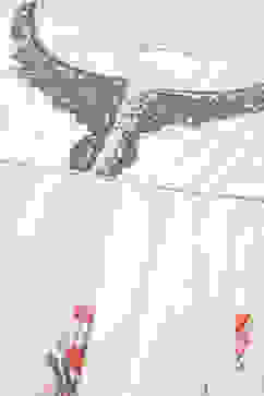 Rohit Bal Ivory Cotton Silk Anarkali Printed Suit Set image number 1