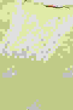 Sea Green Cotton Straight Embroidered Kurta image number 1