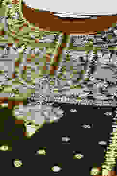 Brown Poly Velvet Straight Printed Kurta image number 1