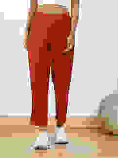 Rust Solid Mid-Rise Regular Pants image number 4