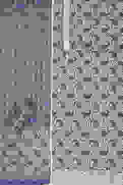 Blue Cotton Screen Print Unstitched Suit Set image number 1