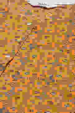 Orange Cotton A-Line Kurta image number 1