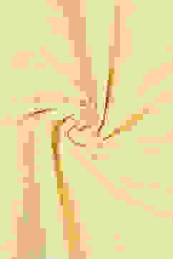 Orange Cotton Unstitched Suit Set image number 1