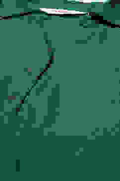 Green LIVA Straight Solid Shirt image number 1