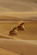 Gold Plated Brass Temple Studs image number 2