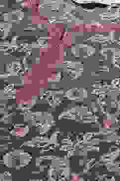 Grey Art Silk Straight Printed Kurti image number 1