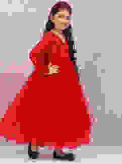 Red Nylon Layered Embroidered Dress image number 3