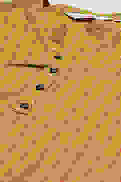 Olive Pink LIVA Straight Yarndyed Kurta image number 1