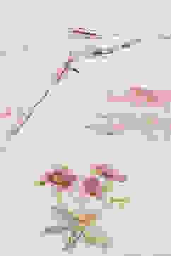 Rohit Bal Off White Viscose Co-ord Set image number 1