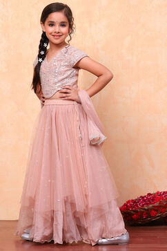 Peach-Toned Poly Chanderi Embellished Straight Lehenga Set image number 5
