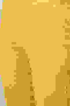 Mustard Art Silk Straight Kurta Slim Pants Suit Set image number 2