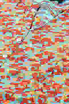 Sky Blue Rayon Straight Kurta Palazzo Suit Set image number 1