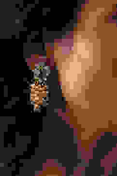 Pearl Brass Necklace Set image number 6