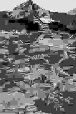 Indigo LIVA Straight Printed Shirt image number 1