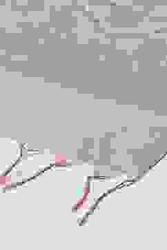 Grey Silk Blend Yarndyed Dupatta image number 1