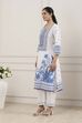 Blue Cotton Ethnic Motifs Printed Straight Kurta image number 2