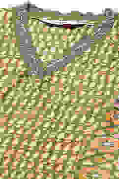 Green Modal A-Line Kurta Palazzo Suit Set image number 1