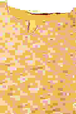 Mustard Cotton Blend Straight Yarndyed Kurta Palazzo Suit Set image number 1