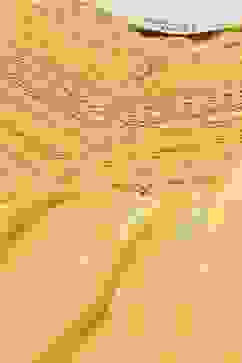 Yellow Solid Kalidar Kurta Regular Pants Suit Set image number 1