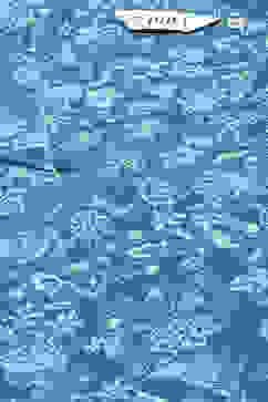 Teal Blue Cotton Straight Kurta Relaxed Salwar Suit Set image number 1