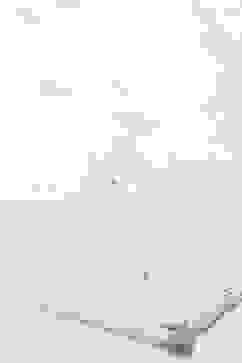 White Nylon Embroidered Dupatta image number 1