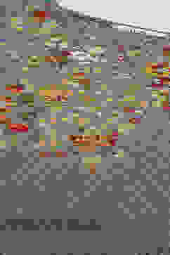 Grey Cotton Straight Kurta Palazzo Suit Set image number 1