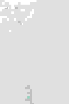 Aqua Blue and White Cotton Straight Suit Set image number 3