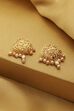 White Gold Plated Brass Drop & Dangler Earrings image number 0