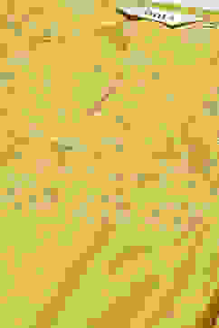 Lime Green Cotton Blend Layered Kurta Suit Set image number 2