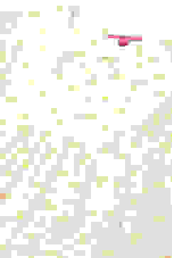 White Tiered Schiffli Cotton Dress image number 1