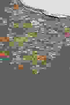 Grey Printed Cotton Straight Kurta Palazzo Suit Set image number 1