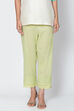 Red Cotton Solid Pant image number 1