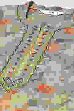 Turquoise Green Polyester Straight Kurta image number 1