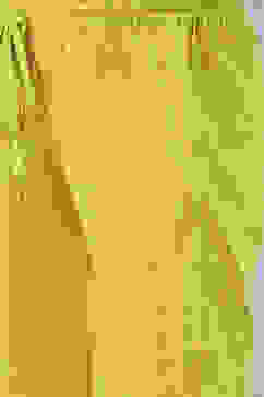 Olive Green Cotton A-Line Printed Kurta Set image number 2