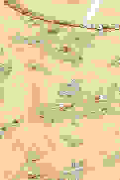 Mango Yellow Poly Cotton Lehenga Set image number 1