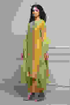 Lime Green Silk Chanderi Embroidered Dyed Straight Suit Set image number 3