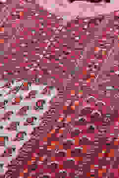 Red Viscose A-Line Printed Kurta image number 1