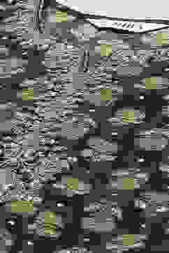 Indigo Modal Blend Straight Kurta Pants Suit Set image number 1