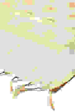 Gold-Toned Yard-Dyed Printed Dupatta image number 1