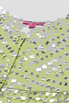 Lime Green Art Silk Lehenga Set image number 1